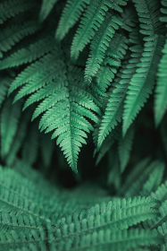 想被舔下面 想被舔下面