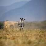 亚洲无线码2019不卡 c9kbaq