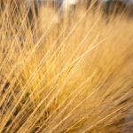 食色性也原文 iab4l63l